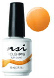 Picture of Polish Pro by NSI - 00122 Dyed to Match 